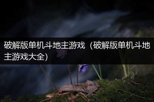 破解版单机斗地主游戏（破解版单机斗地主游戏大全）