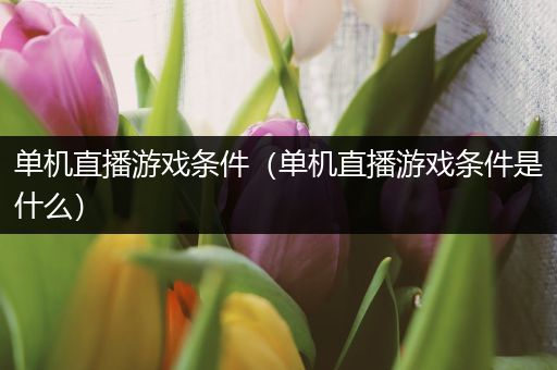 单机直播游戏条件（单机直播游戏条件是什么）