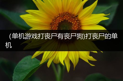 （单机游戏打丧尸有丧尸狗)打丧尸的单机