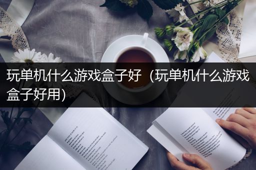 玩单机什么游戏盒子好（玩单机什么游戏盒子好用）