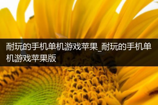 耐玩的手机单机游戏苹果_耐玩的手机单机游戏苹果版