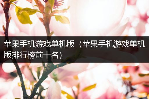 苹果手机游戏单机版（苹果手机游戏单机版排行榜前十名）