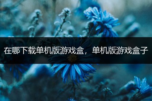 在哪下载单机版游戏盒，单机版游戏盒子