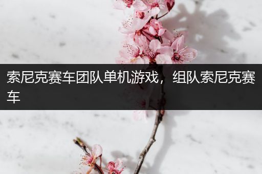 索尼克赛车团队单机游戏，组队索尼克赛车