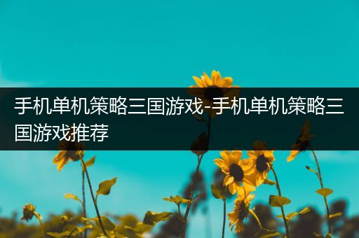 手机单机策略三国游戏-手机单机策略三国游戏推荐