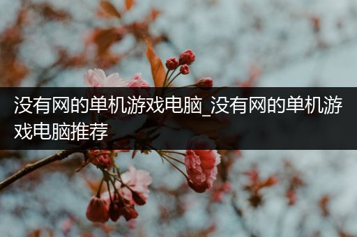 没有网的单机游戏电脑_没有网的单机游戏电脑推荐