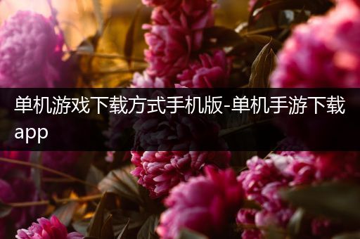 单机游戏下载方式手机版-单机手游下载app