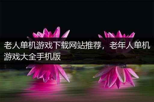 老人单机游戏下载网站推荐，老年人单机游戏大全手机版