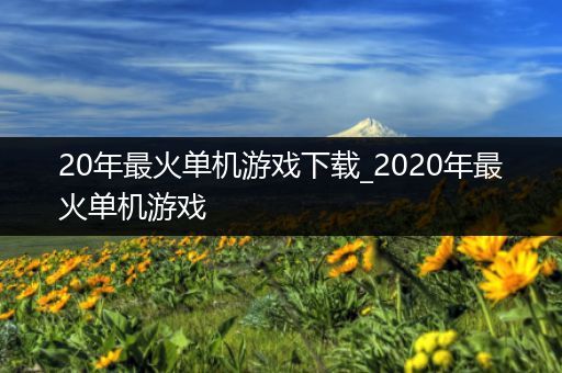 20年最火单机游戏下载_2020年最火单机游戏