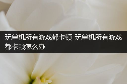 玩单机所有游戏都卡顿_玩单机所有游戏都卡顿怎么办