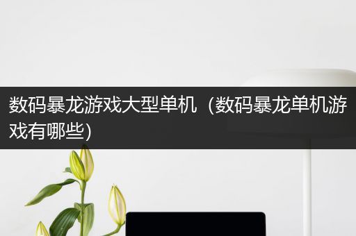 数码暴龙游戏大型单机（数码暴龙单机游戏有哪些）