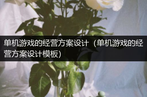 单机游戏的经营方案设计（单机游戏的经营方案设计模板）