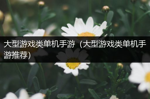 大型游戏类单机手游（大型游戏类单机手游推荐）
