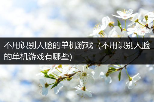 不用识别人脸的单机游戏（不用识别人脸的单机游戏有哪些）
