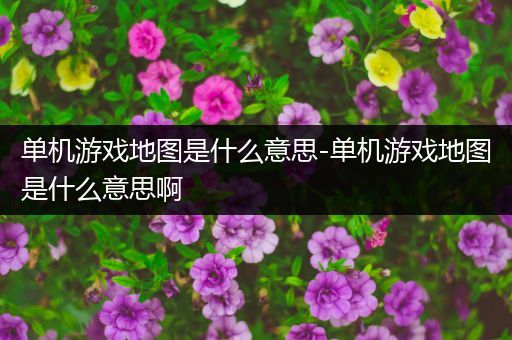 单机游戏地图是什么意思-单机游戏地图是什么意思啊