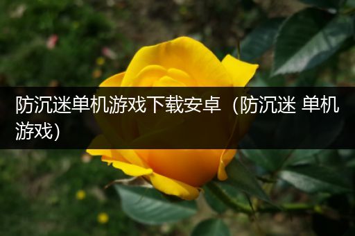 防沉迷单机游戏下载安卓（防沉迷 单机游戏）
