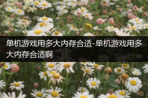 单机游戏用多大内存合适-单机游戏用多大内存合适啊