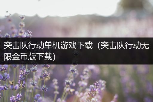 突击队行动单机游戏下载（突击队行动无限金币版下载）
