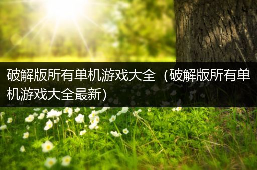 破解版所有单机游戏大全（破解版所有单机游戏大全最新）