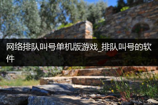 网络排队叫号单机版游戏_排队叫号的软件