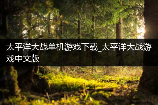 太平洋大战单机游戏下载_太平洋大战游戏中文版