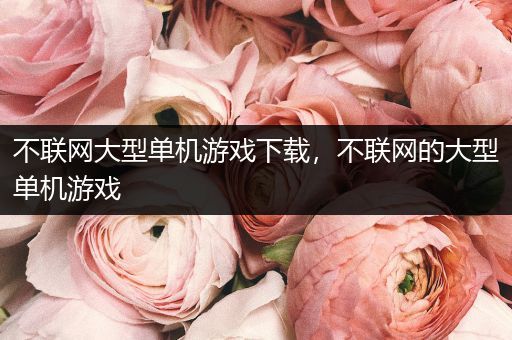 不联网大型单机游戏下载，不联网的大型单机游戏