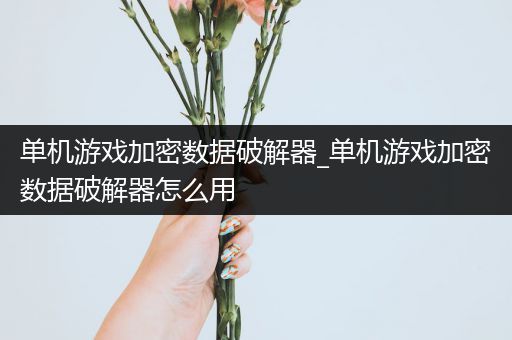 单机游戏加密数据破解器_单机游戏加密数据破解器怎么用