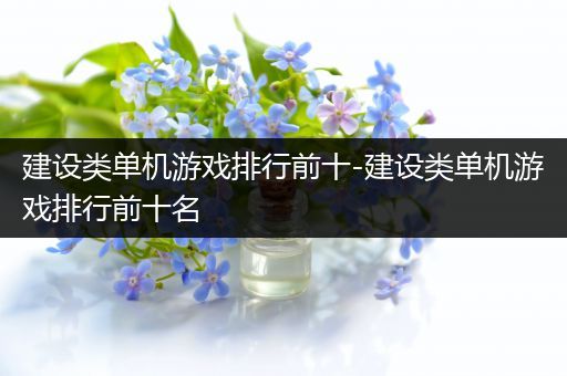 建设类单机游戏排行前十-建设类单机游戏排行前十名