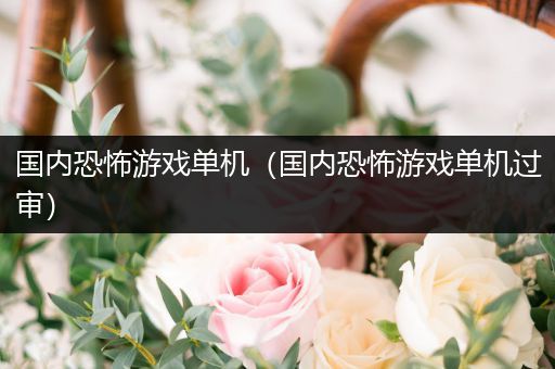 国内恐怖游戏单机（国内恐怖游戏单机过审）
