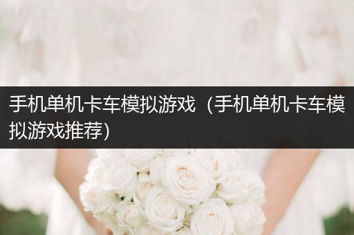手机单机卡车模拟游戏（手机单机卡车模拟游戏推荐）