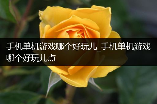 手机单机游戏哪个好玩儿_手机单机游戏哪个好玩儿点