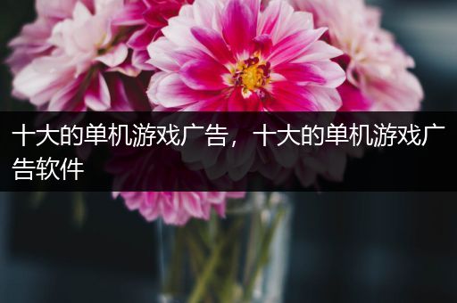 十大的单机游戏广告，十大的单机游戏广告软件