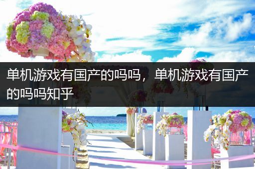 单机游戏有国产的吗吗，单机游戏有国产的吗吗知乎
