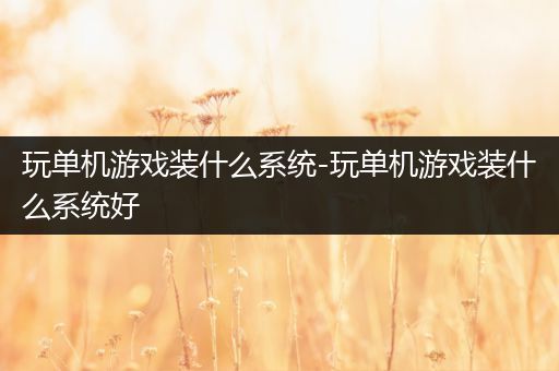 玩单机游戏装什么系统-玩单机游戏装什么系统好