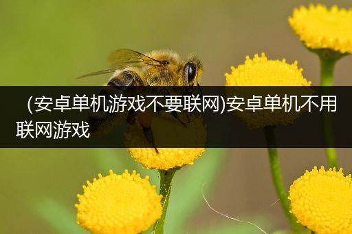（安卓单机游戏不要联网)安卓单机不用联网游戏