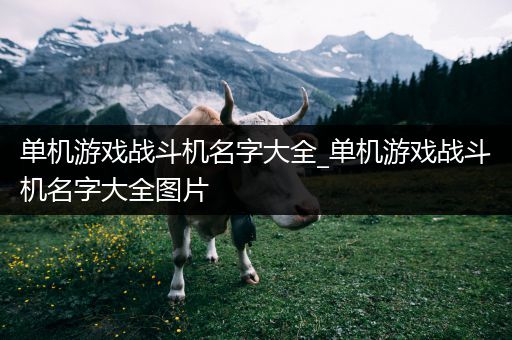 单机游戏战斗机名字大全_单机游戏战斗机名字大全图片