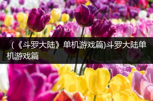 （《斗罗大陆》单机游戏篇)斗罗大陆单机游戏篇