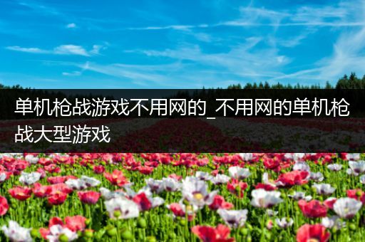 单机枪战游戏不用网的_不用网的单机枪战大型游戏