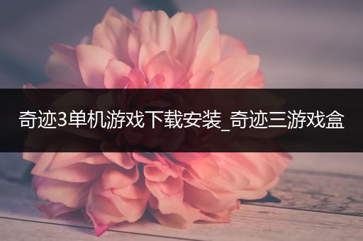 奇迹3单机游戏下载安装_奇迹三游戏盒