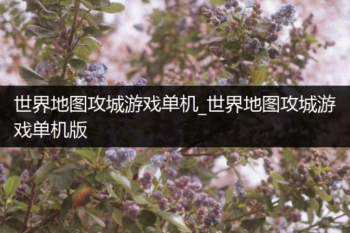 世界地图攻城游戏单机_世界地图攻城游戏单机版