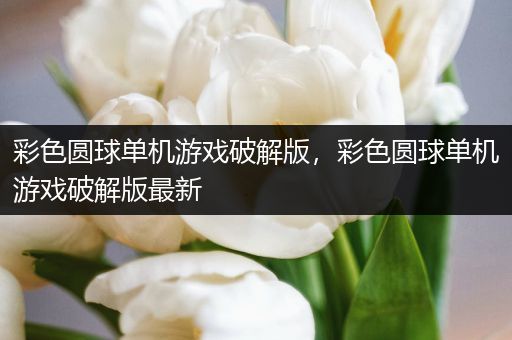 彩色圆球单机游戏破解版，彩色圆球单机游戏破解版最新