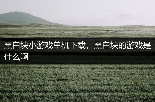黑白块小游戏单机下载，黑白块的游戏是什么啊