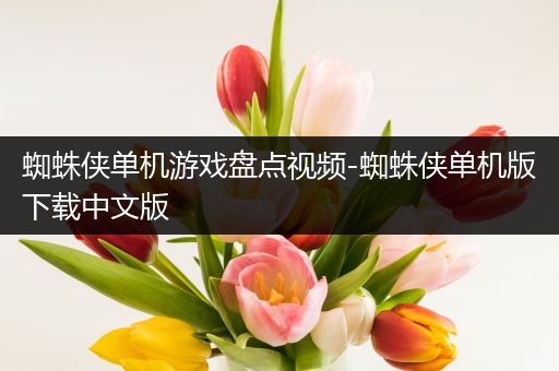 蜘蛛侠单机游戏盘点视频-蜘蛛侠单机版下载中文版
