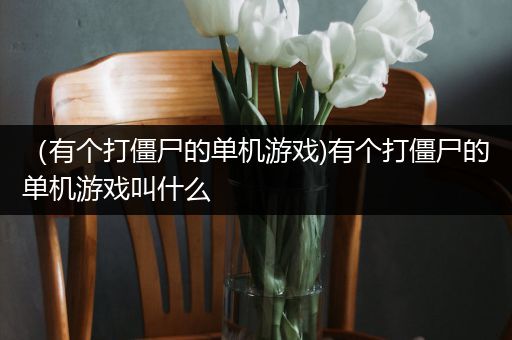 （有个打僵尸的单机游戏)有个打僵尸的单机游戏叫什么