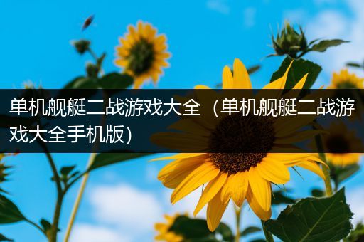 单机舰艇二战游戏大全（单机舰艇二战游戏大全手机版）