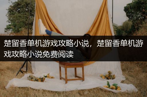 楚留香单机游戏攻略小说，楚留香单机游戏攻略小说免费阅读