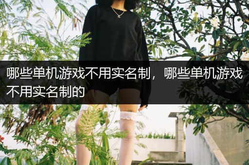 哪些单机游戏不用实名制，哪些单机游戏不用实名制的