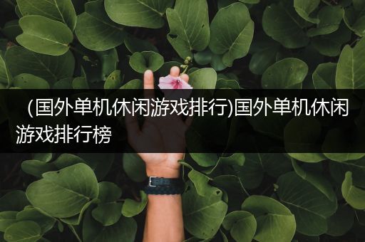 （国外单机休闲游戏排行)国外单机休闲游戏排行榜
