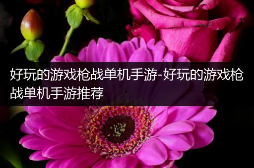 好玩的游戏枪战单机手游-好玩的游戏枪战单机手游推荐