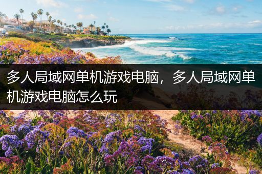 多人局域网单机游戏电脑，多人局域网单机游戏电脑怎么玩